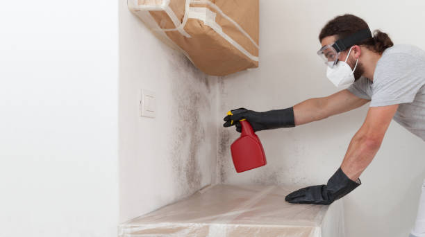 Professional Mold Testing technician working in Coram, NY