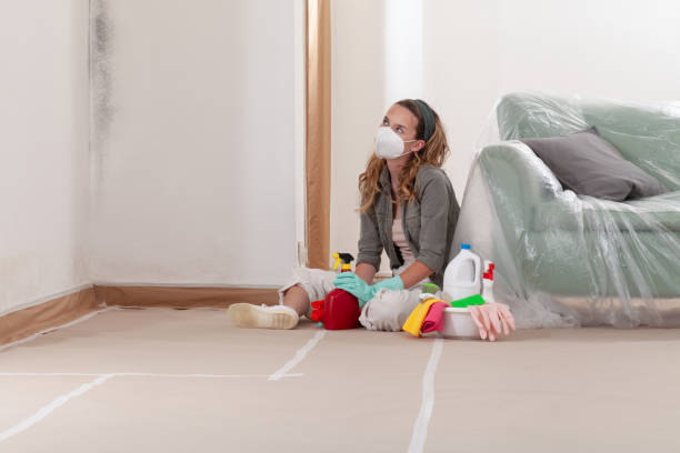 Reliable Mold Testing contractor in Coram, NY by WQB Mold Removal